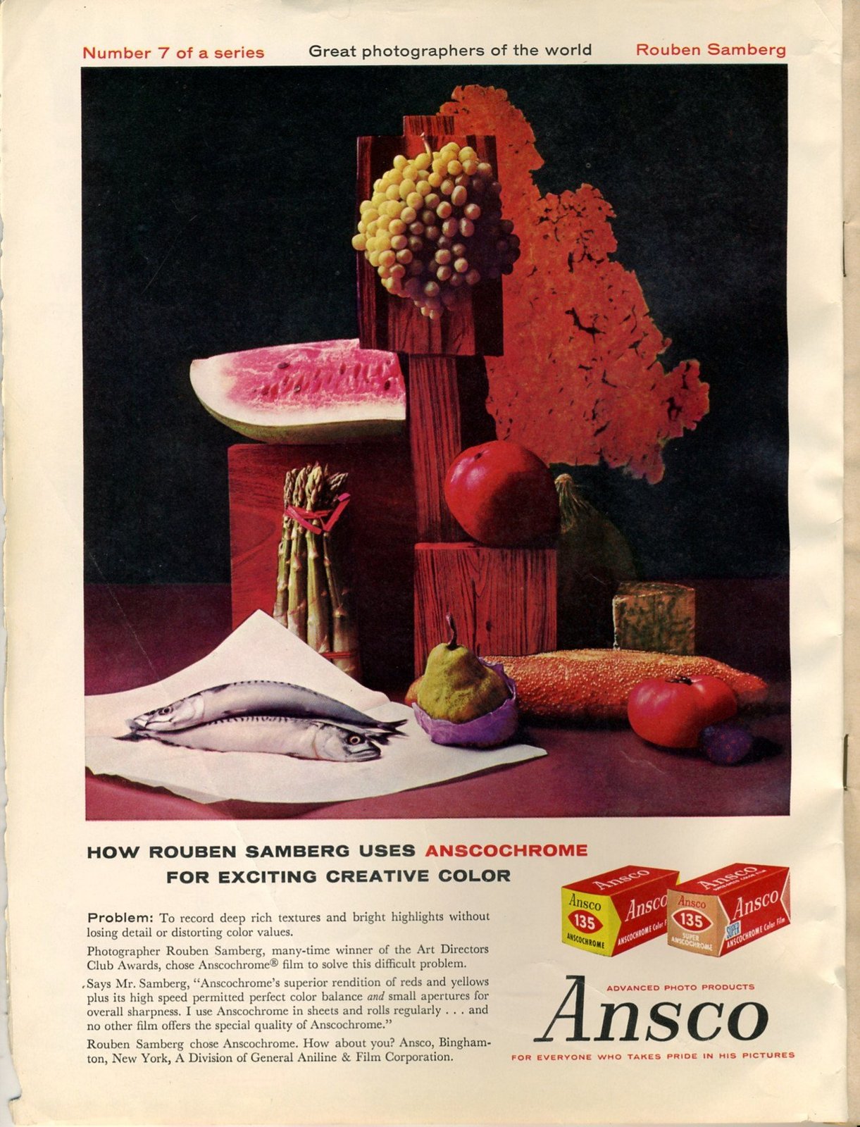 Ansco 'Reuben Sanberg',