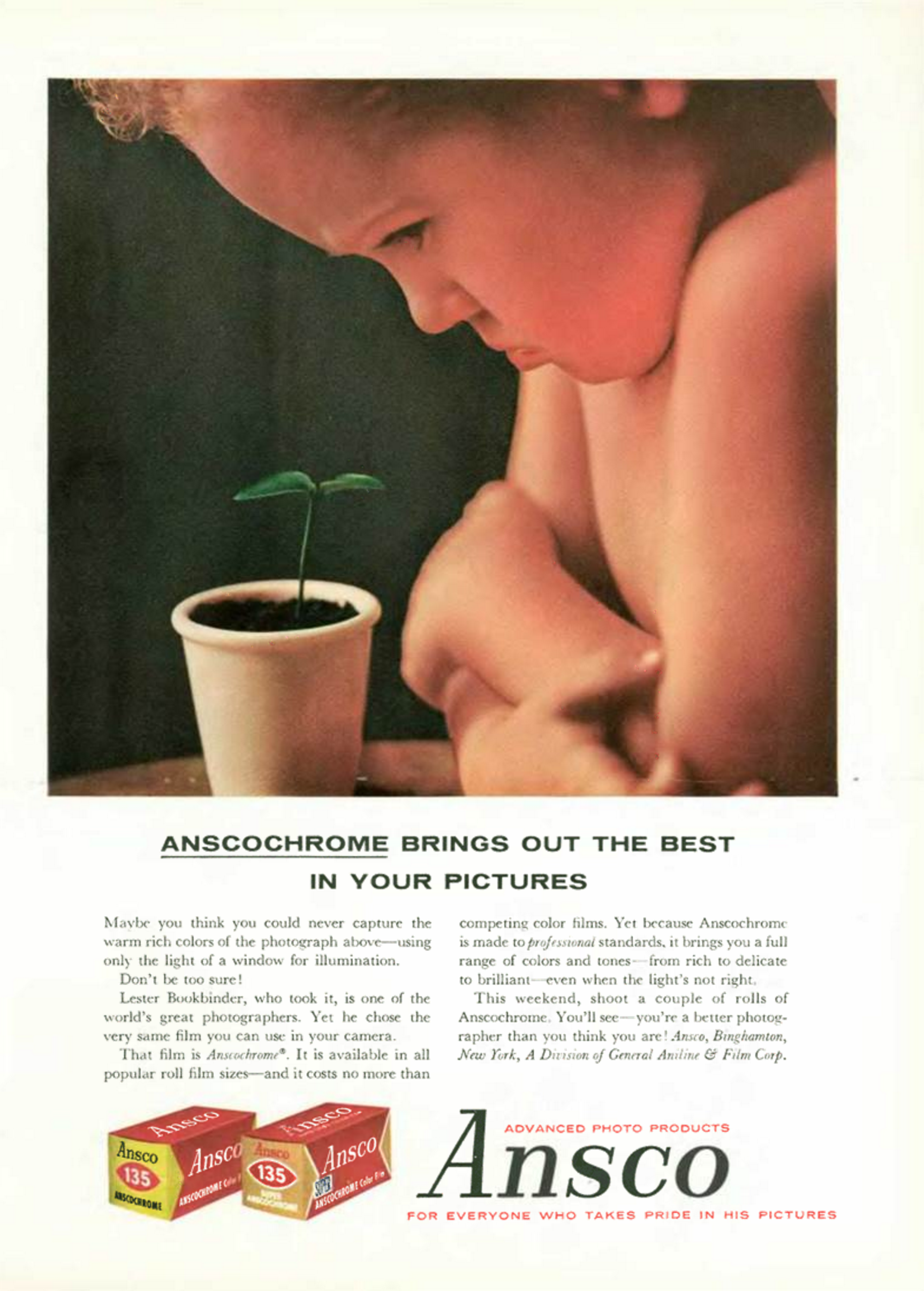 Ansco 'Plant', Lester Bookbinder.png