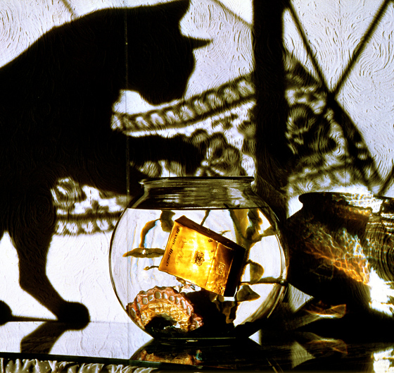 b&h cat 560 wide higher res