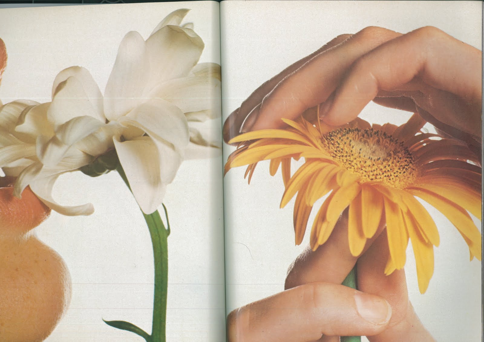 MX-2600N_20110323_141443_008