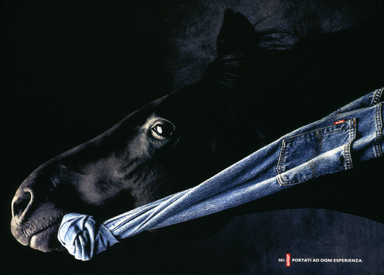 levihorse 72 dpi 560 wide