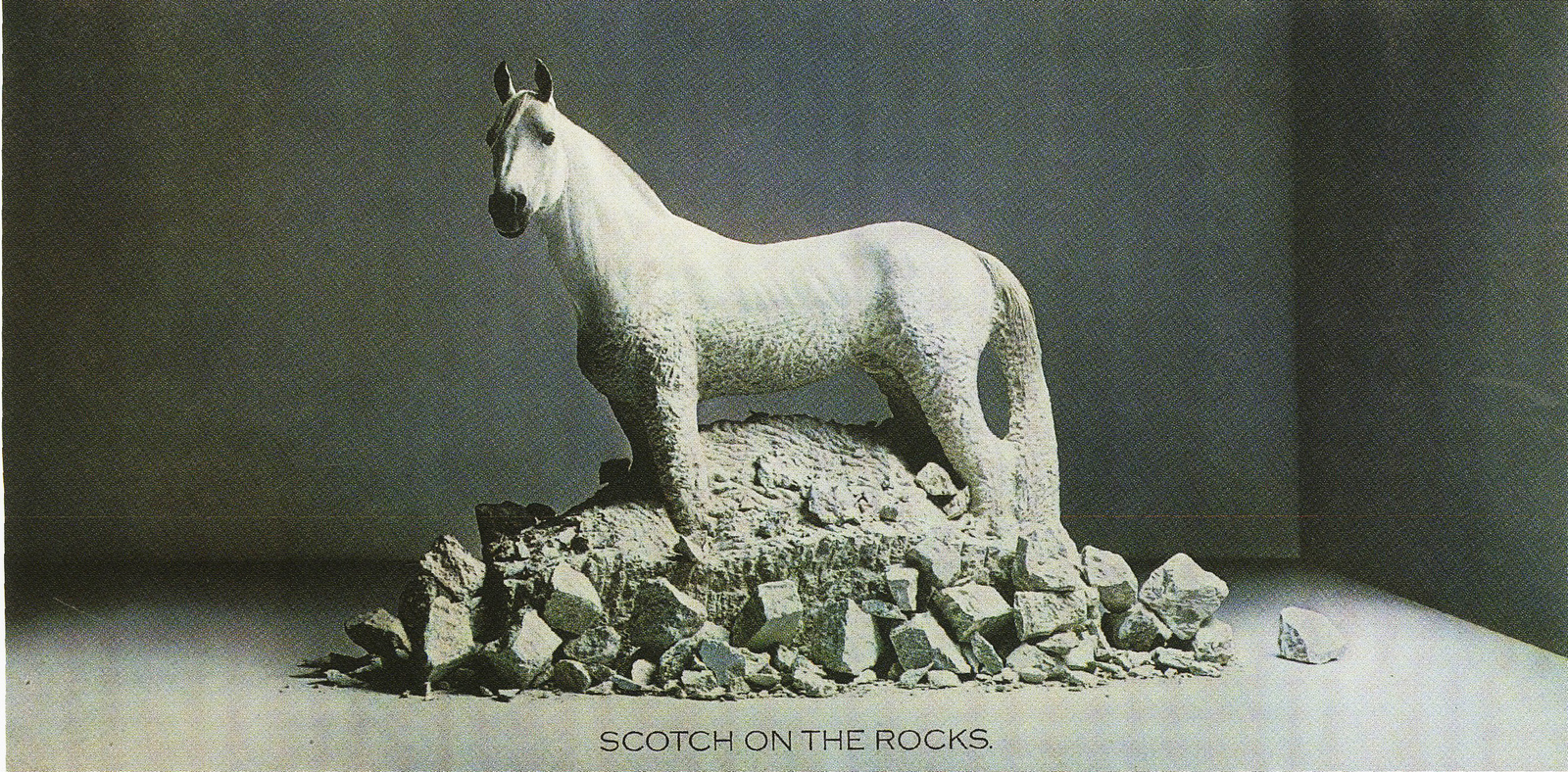 white-horse-on-the-rocks*