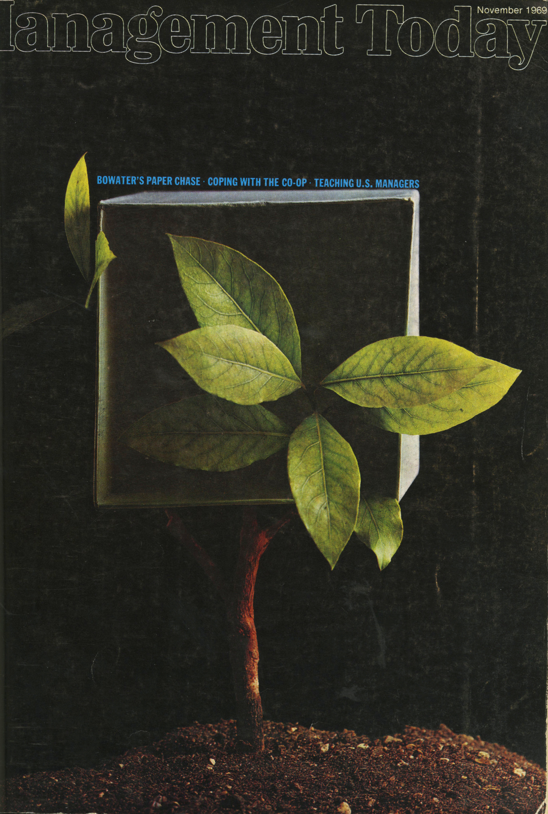 Lester Bookbinder, Management Today 'Tree Box Thing'**