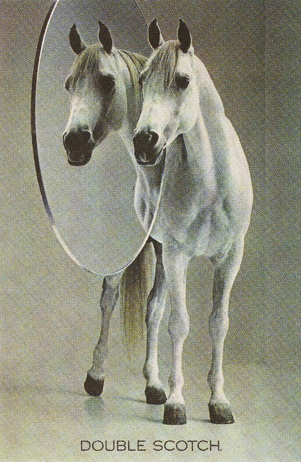 white-horse-double-scotch**