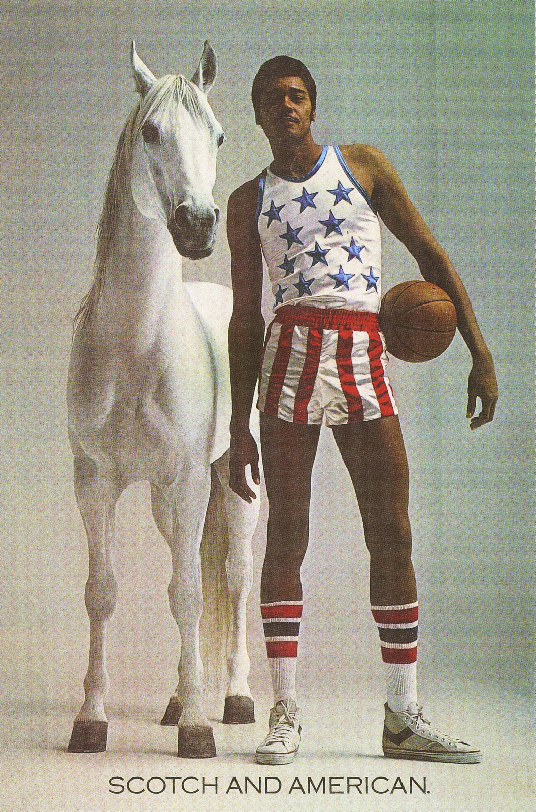 white-horse-scotch-american*