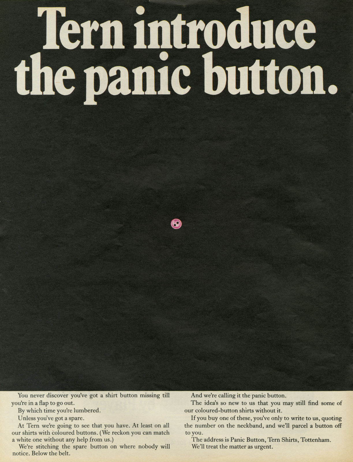 Neil Godfrey, Tern, 'Button', DDB-01