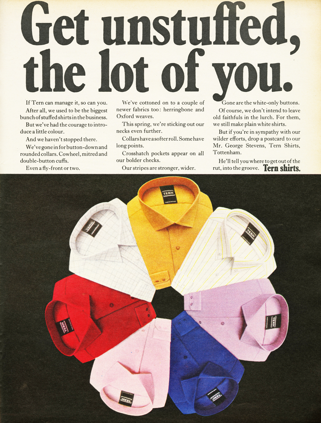 Neil Godfrey, Tern 'Stuffed', DDB-01