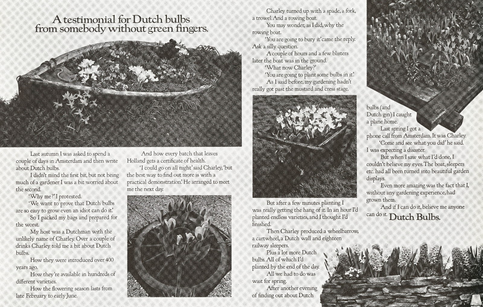 Mike Cozens, Dutch Bulbs 'Testimonial', BBDO, -01