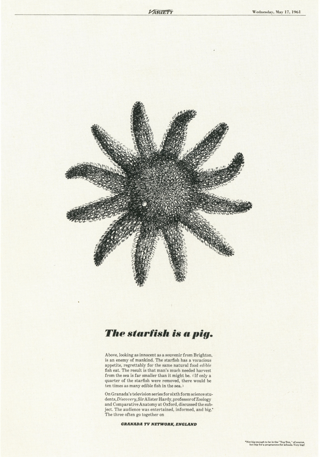 PKL2; Granada 'Starfish'-01