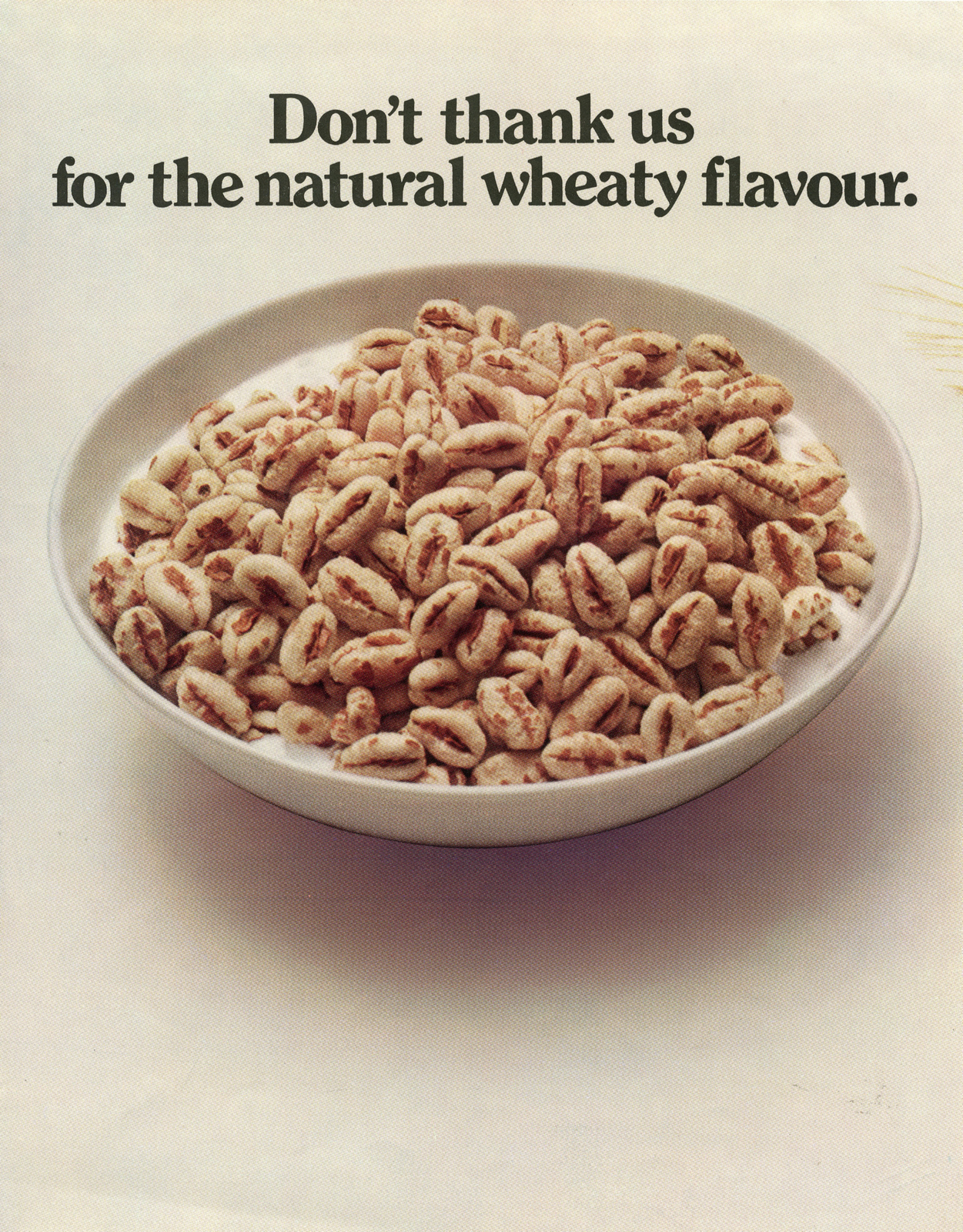 Neil Godfrey, Puffed Wheat 'Bowl 2', DDB-01
