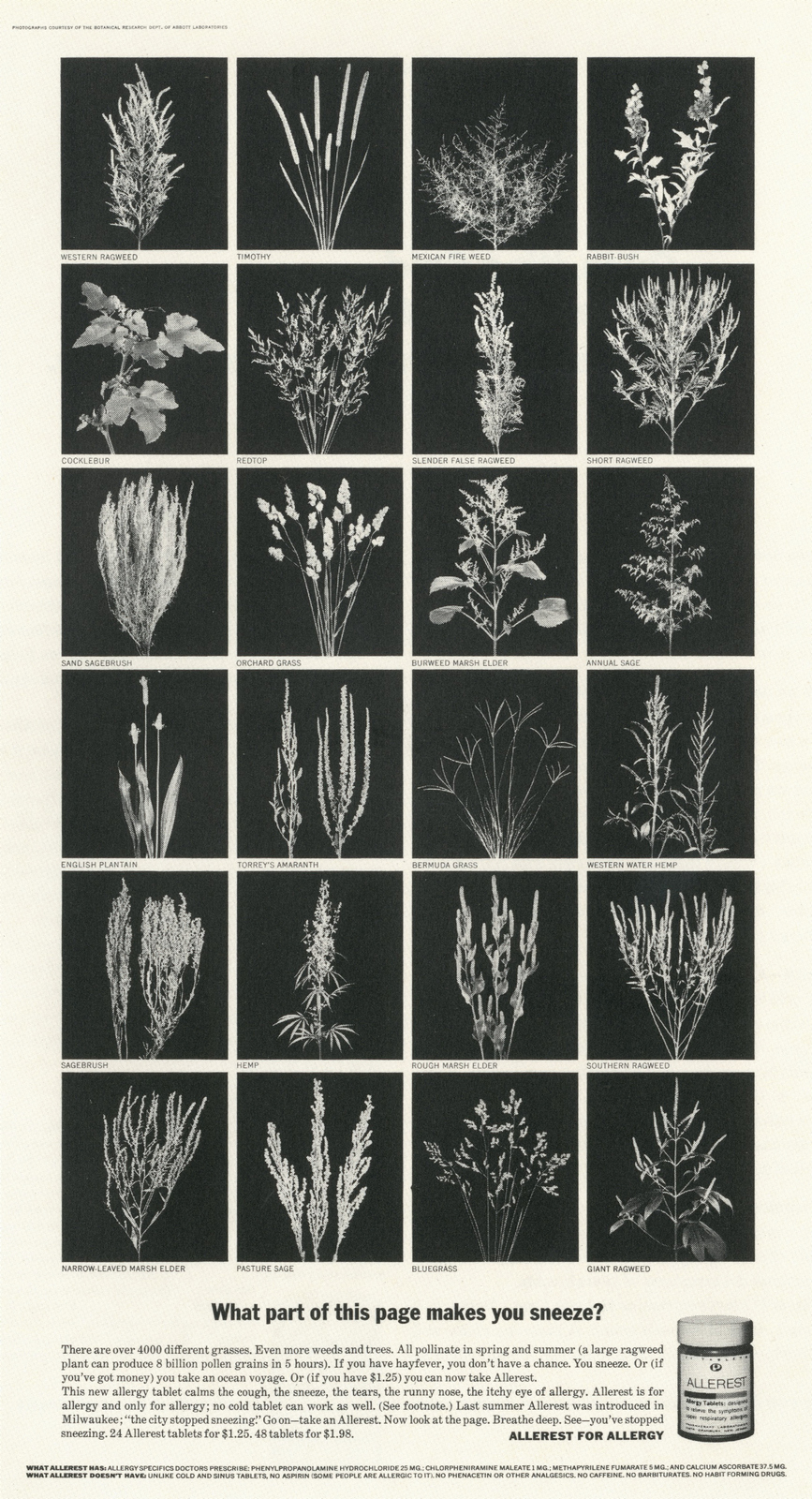 PKL2; Allerest 'This Page'-01