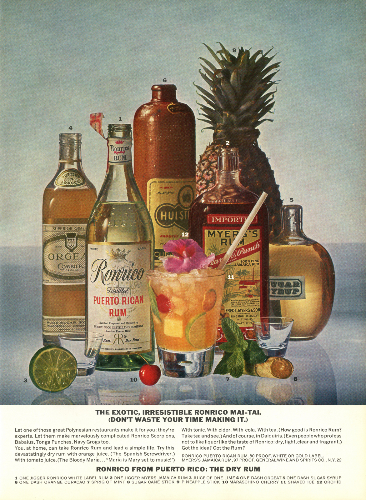 PKL2; Ronrico 'Irresistible'-01