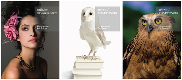 Getty Watermark, Robert Greenberg: R:GA