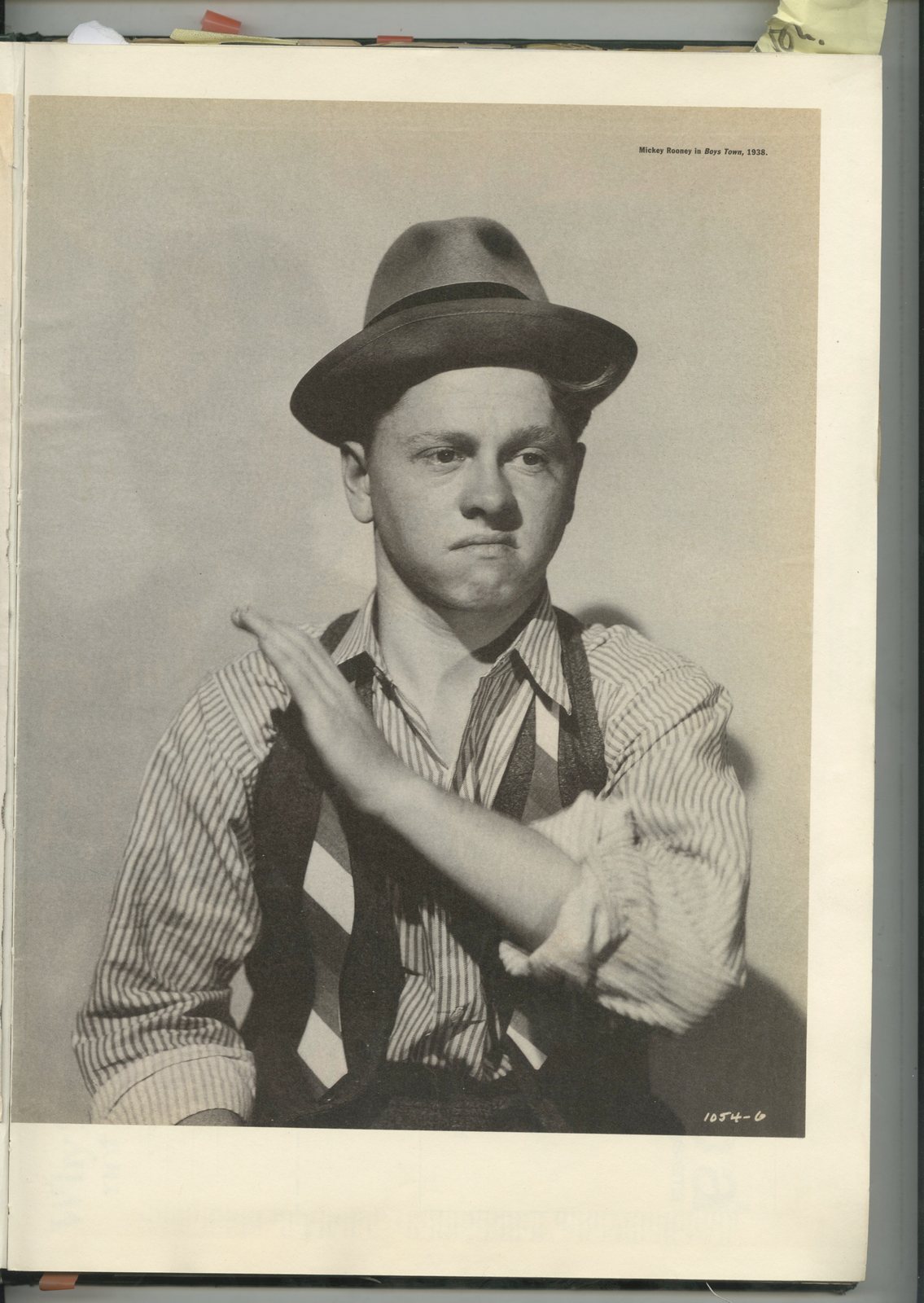 3. Green Book Type 1.jpg