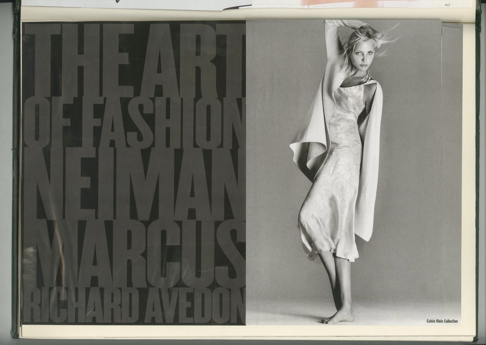 28. Green Book Type 4.jpg