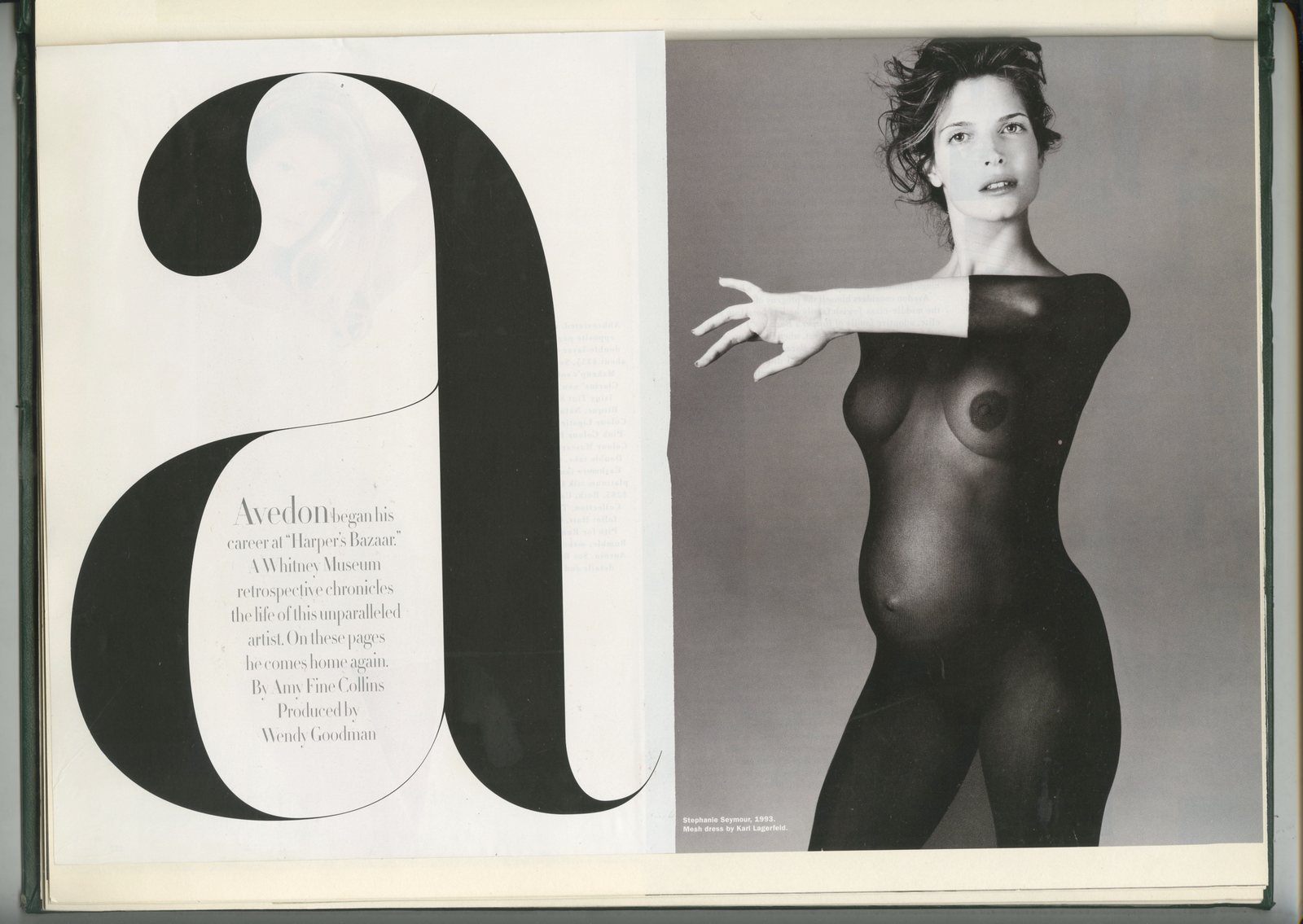 30. Green Book Type 4.jpg