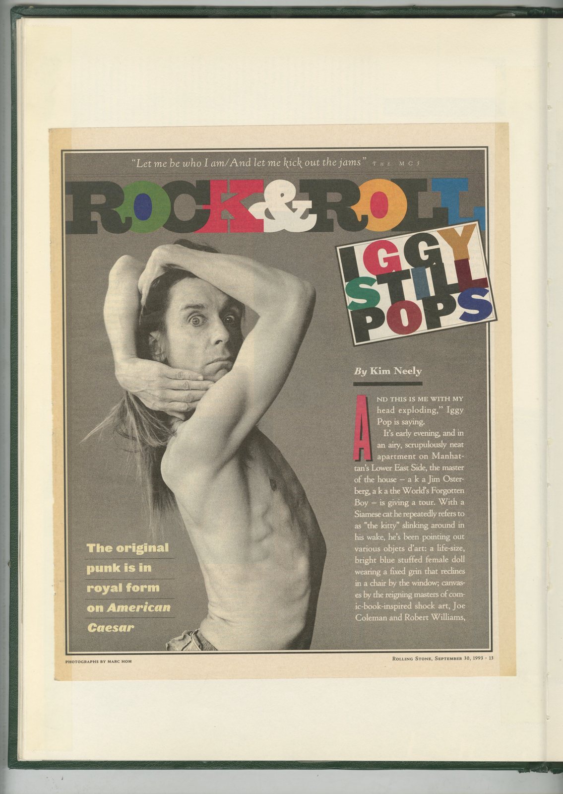 41. Green Book Type 4.jpg