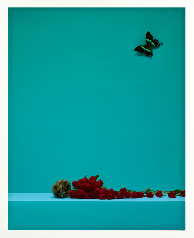 'Butterfly' Satoshi Saikusa, 2017_large