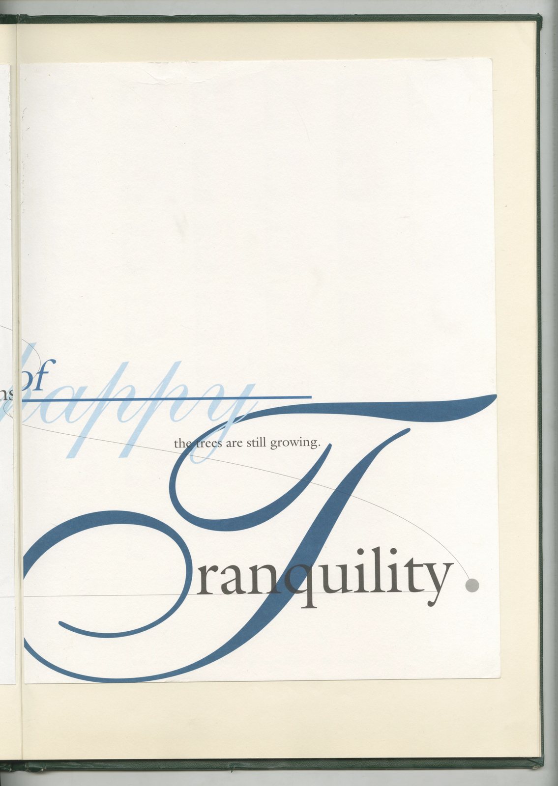 66. Green Book Type 4.jpg