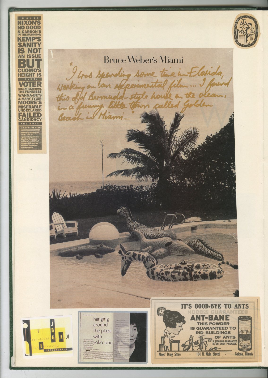 10. GREEN BOOKS: 'Type'