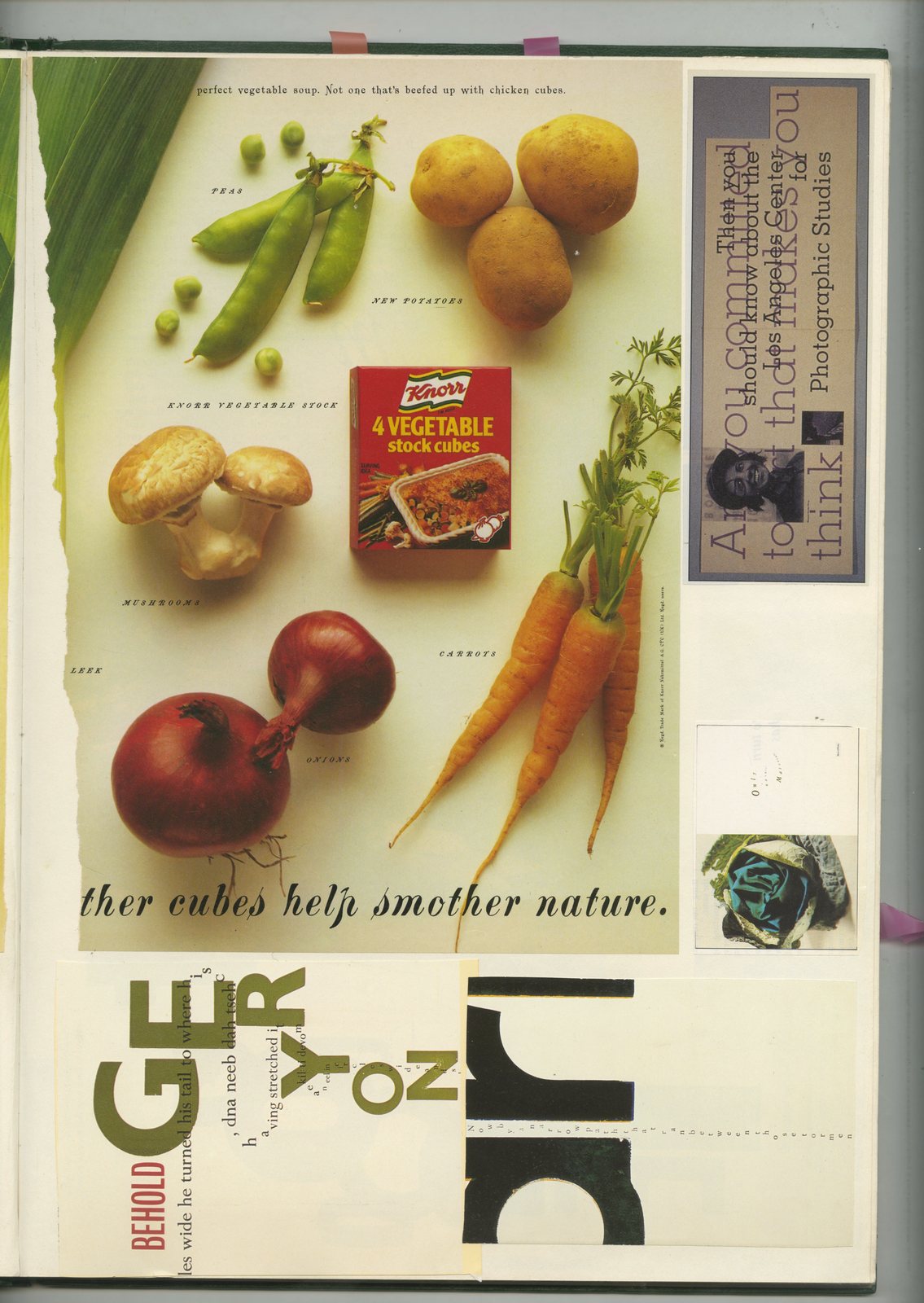 31. GREEN BOOKS: 'Type'