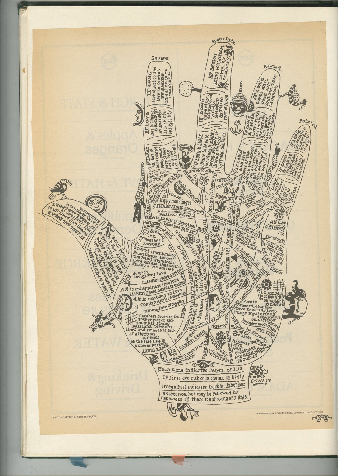 63. Illustration 1.jpg