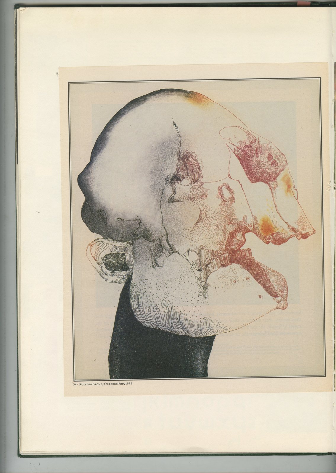 54. GREEN BOOKS: 'Type'