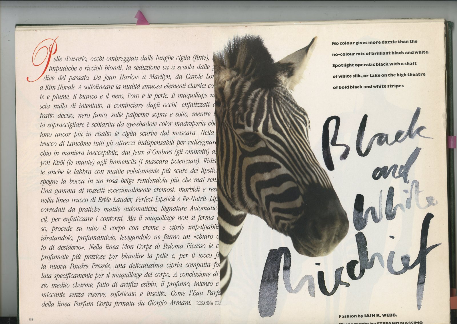 90. GREEN BOOKS: 'Type'