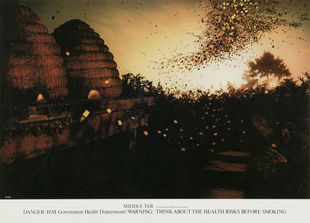 'Bees', Poster, B&H, Graham Fink, CDP.jpg