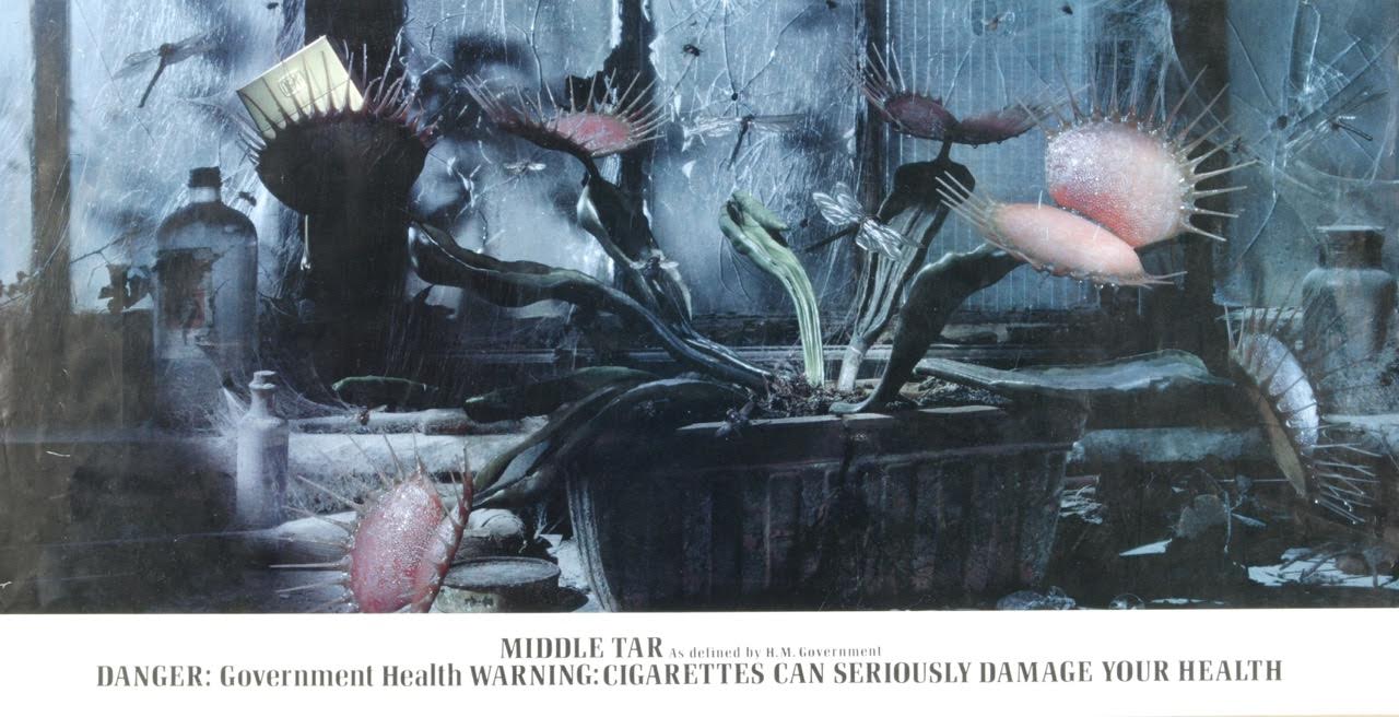 'Venus' Poster, B&H, Graham Fink, CDP.jpg