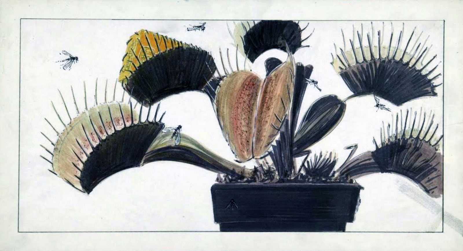 'Venus' Rough, B&H, Graham Fink, CDP*-01.jpg