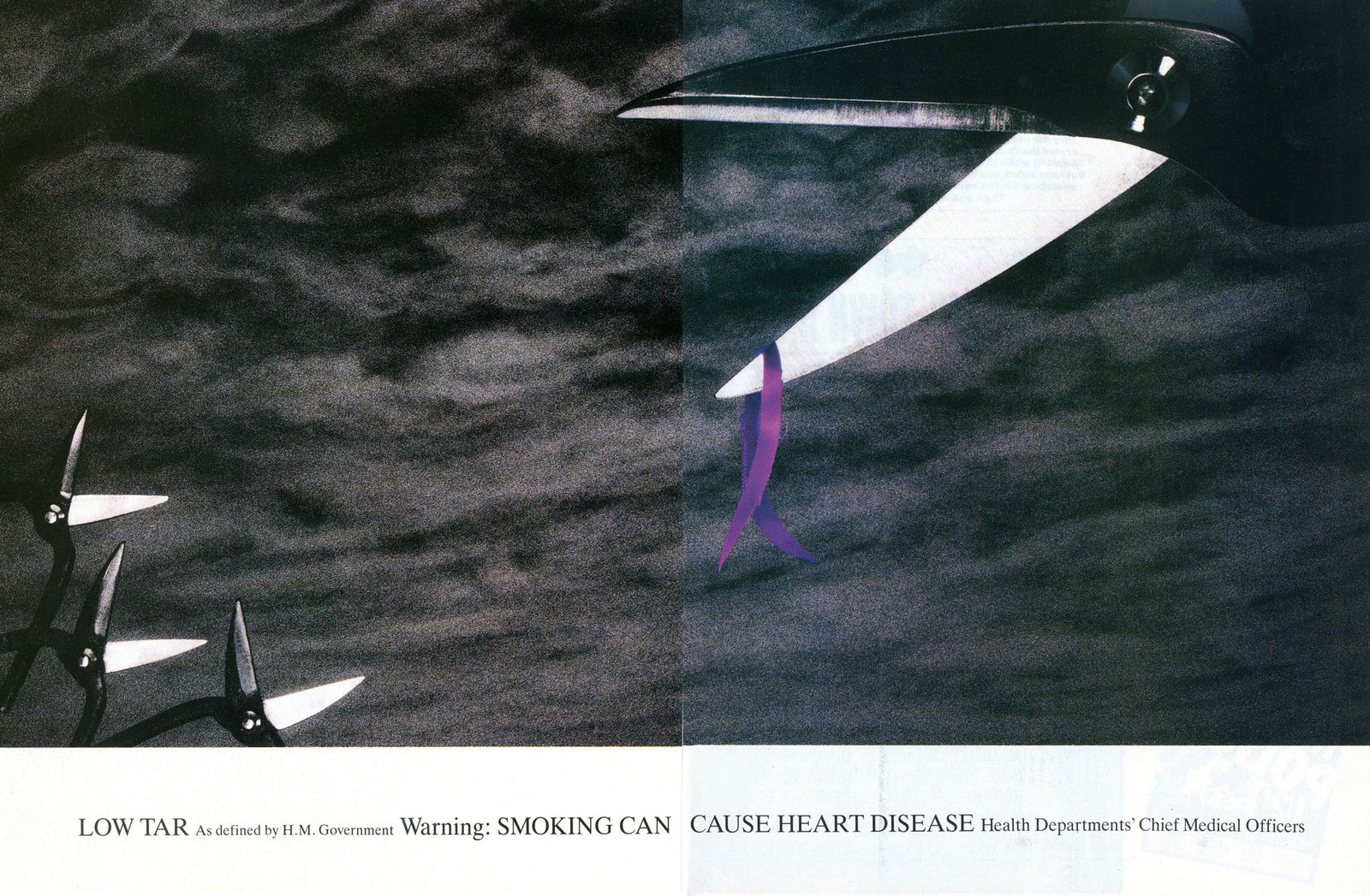 Silk Cut 'Birds:Worm'.jpg