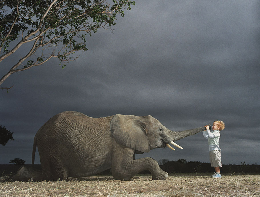 Tim Flach - Elephant Boy