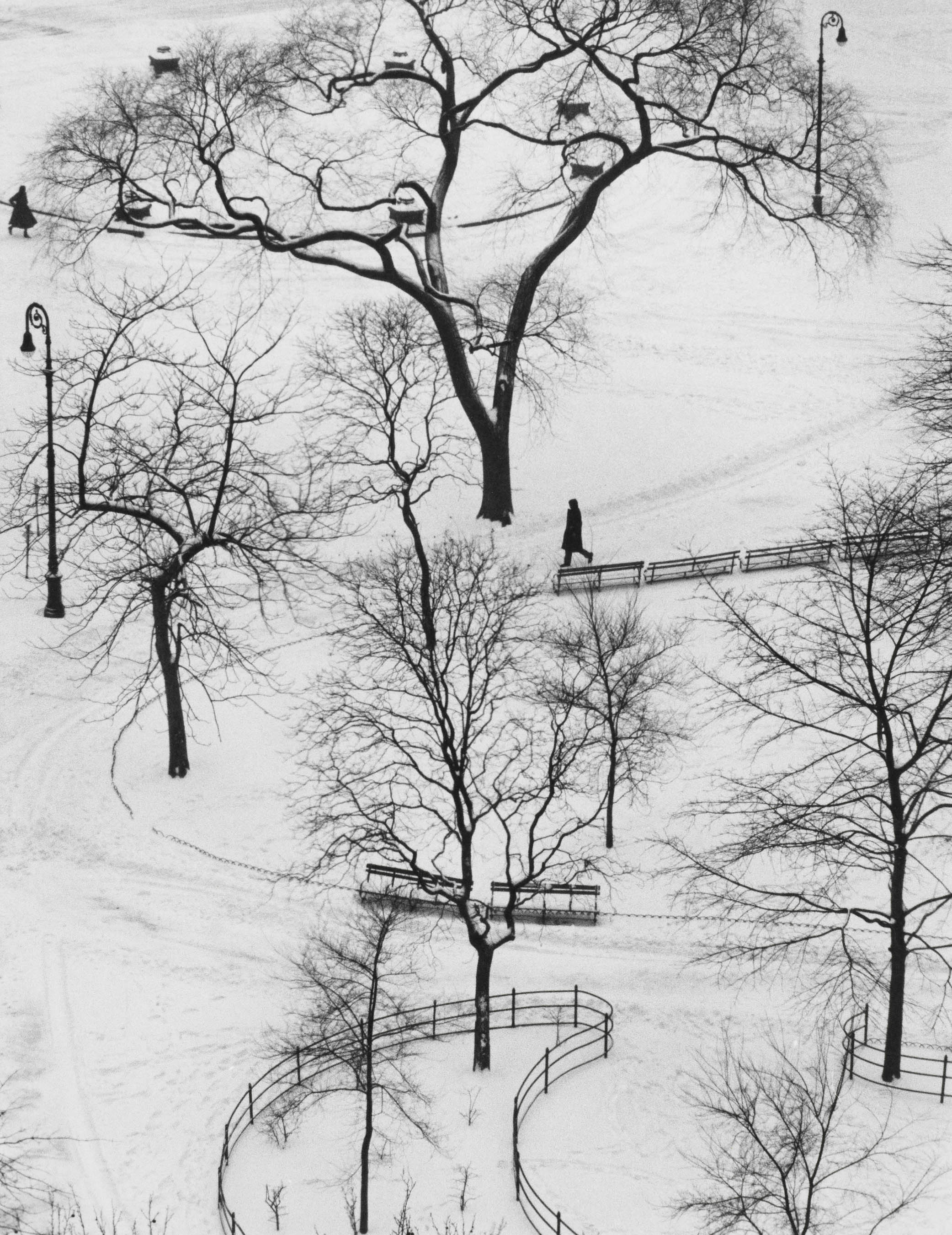snow-andrez-kertez
