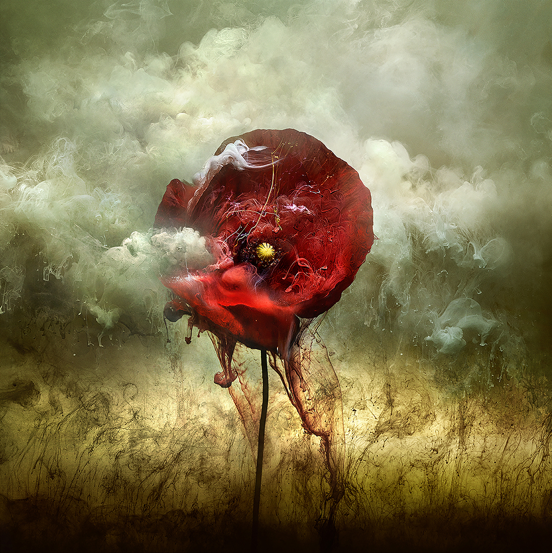 ww1-1916-battlefield-poppy-stamp-giles-revell