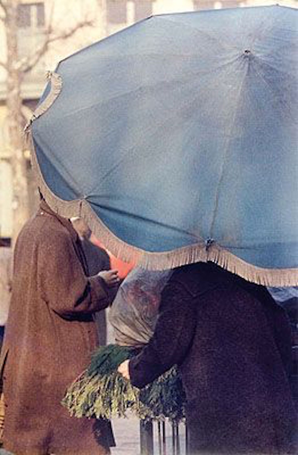 1. 'Blue Umbrella', Saul Leiter:Dave Dye*