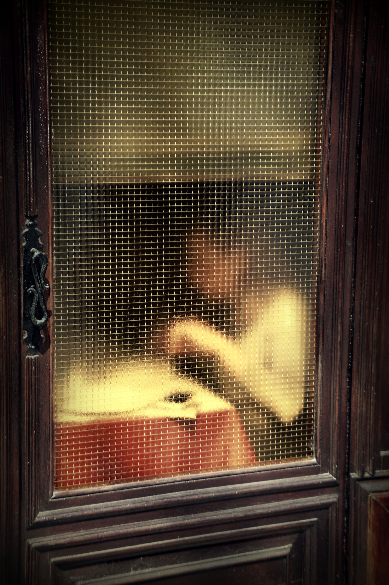 1. 'Wire Window', Saul Leiter:Dave Dye