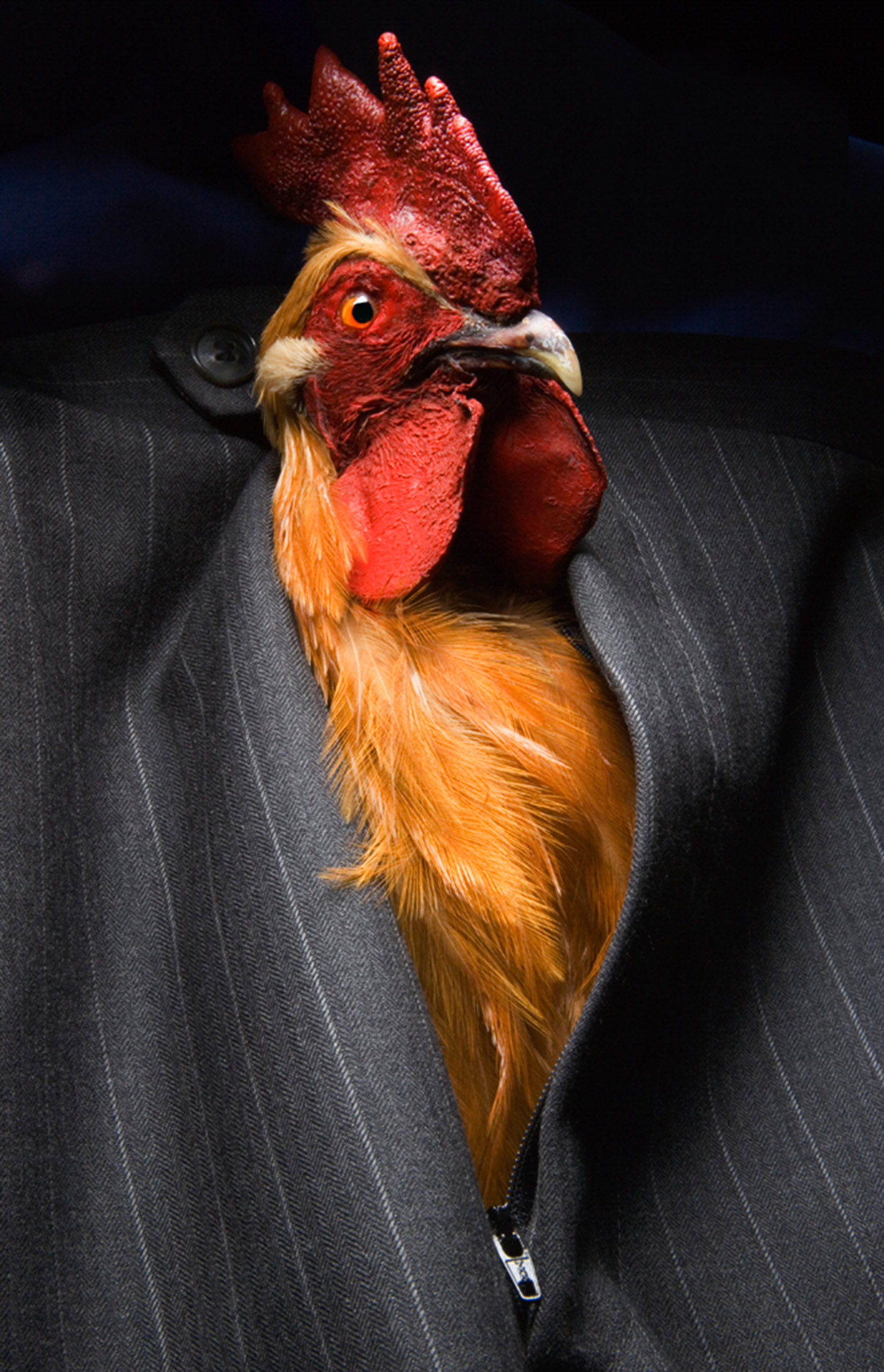'Cock' Phil Marco.jpg