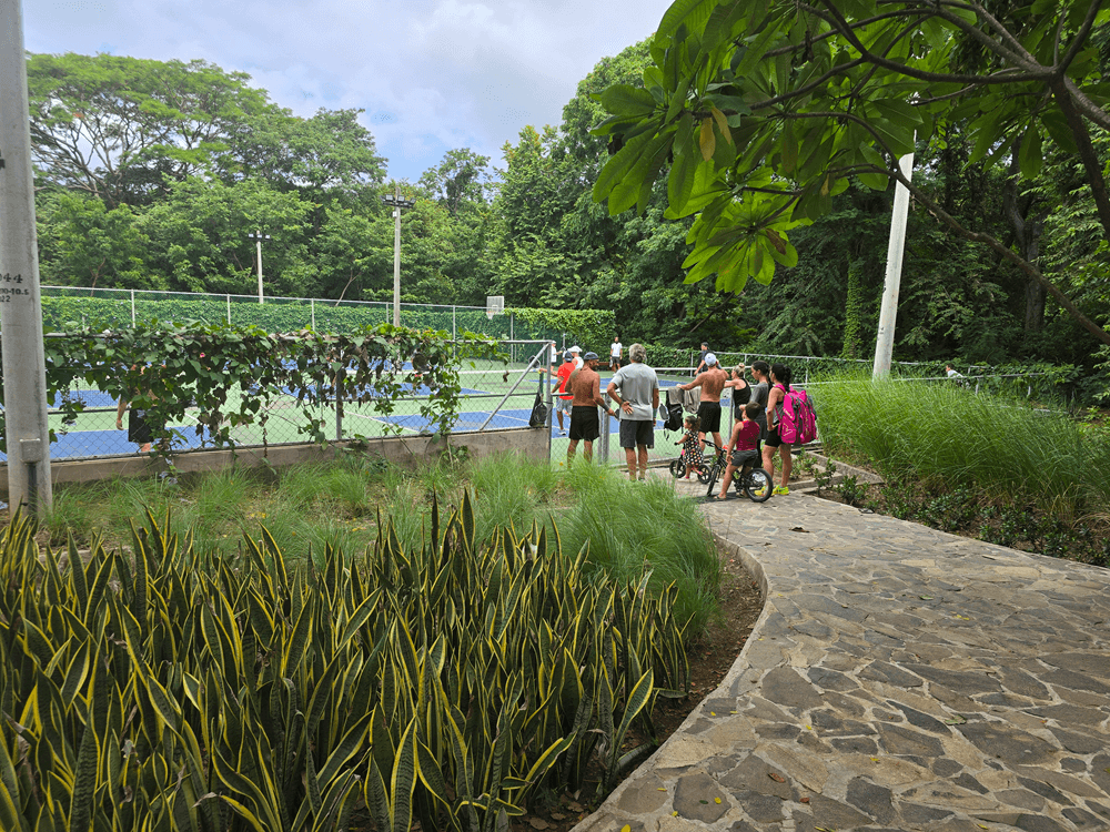 Palmera Pickleball Nicaragua