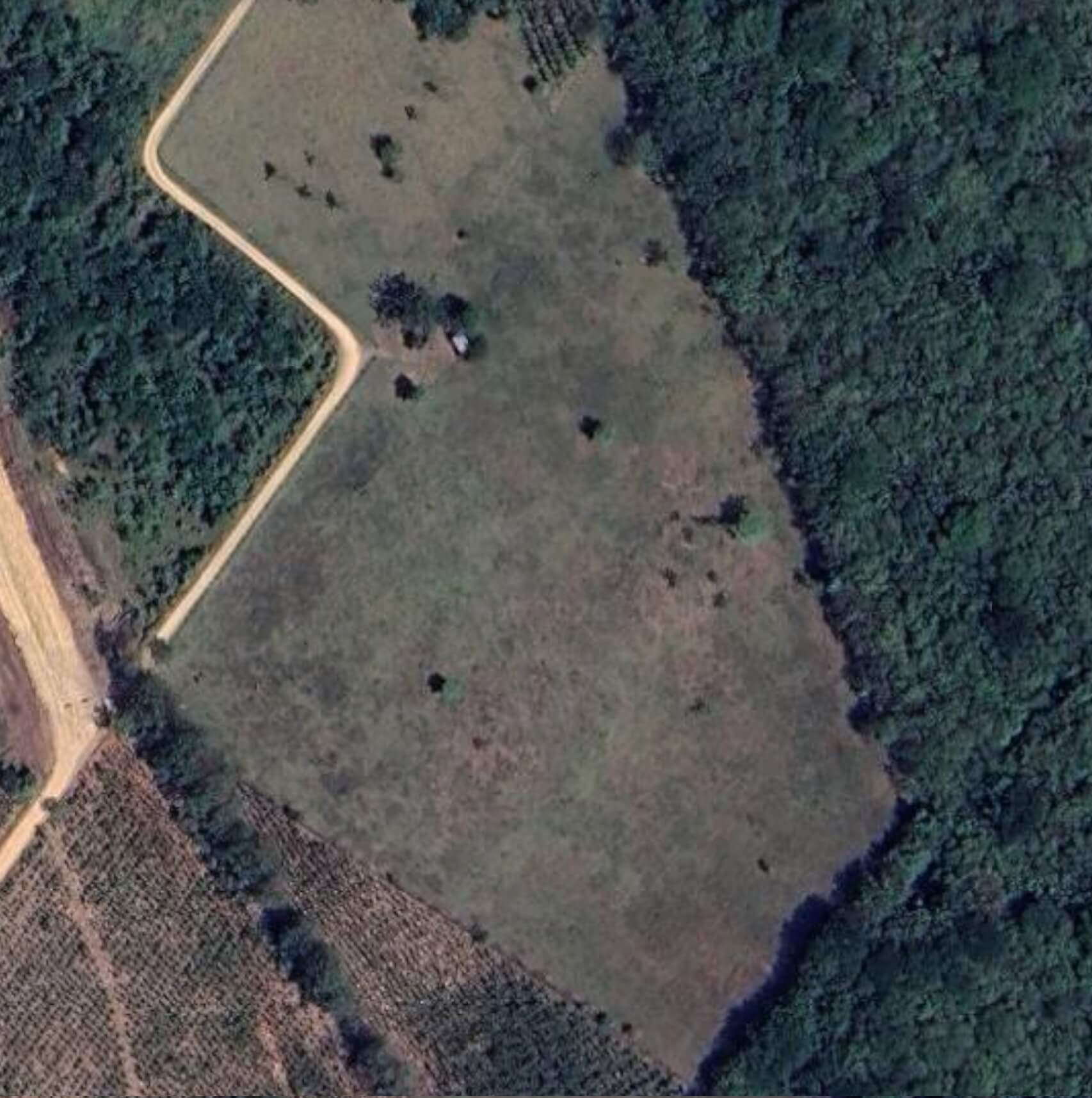 Project Update: Land, Design, and What Comes Next