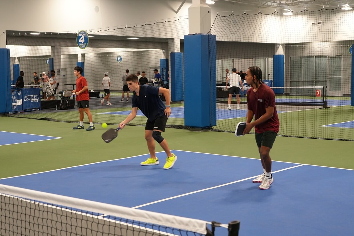 The Work Before the Courts