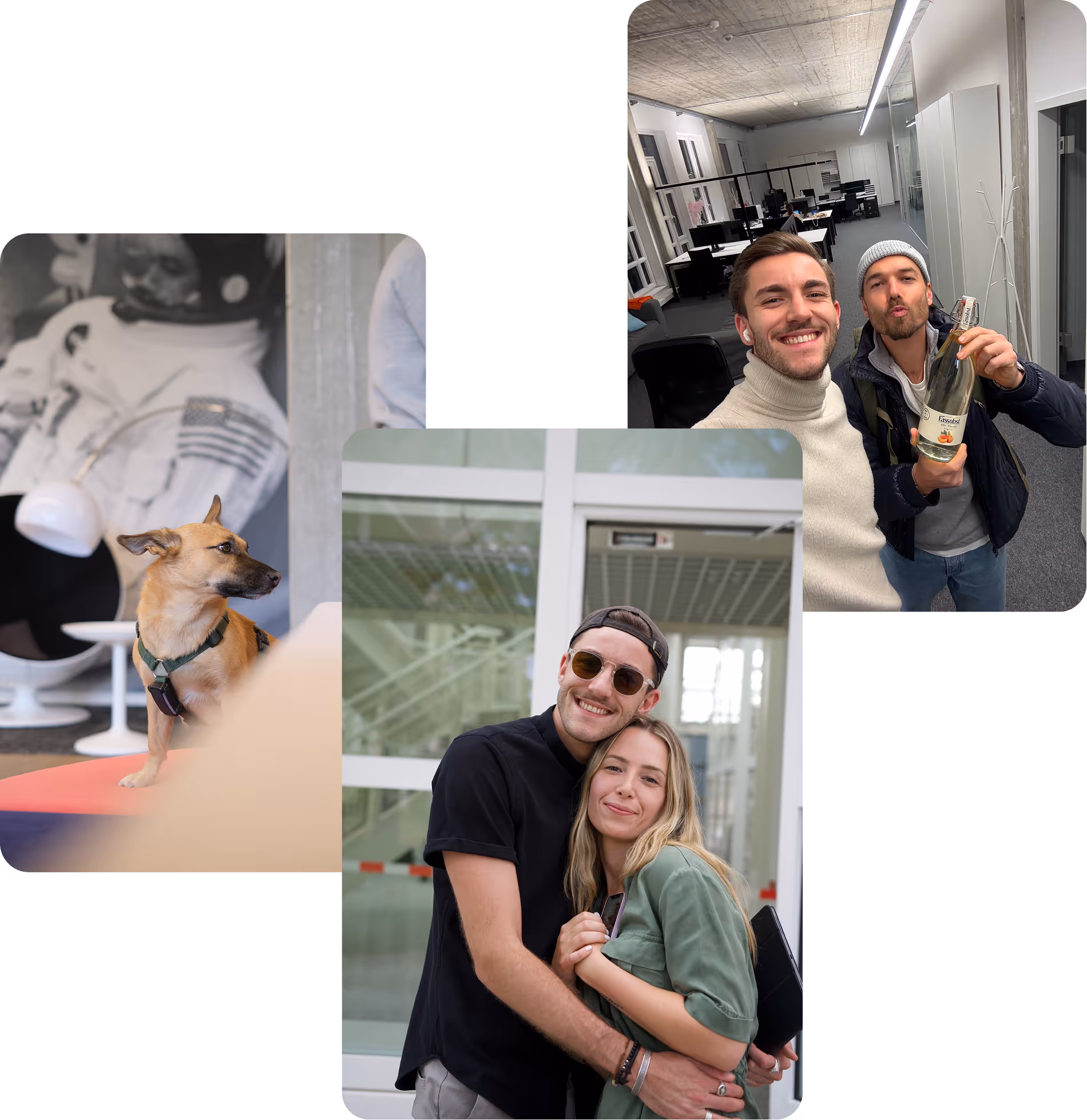 Collage mit Bildern des PLEC-Teams, inklusive Bürohund