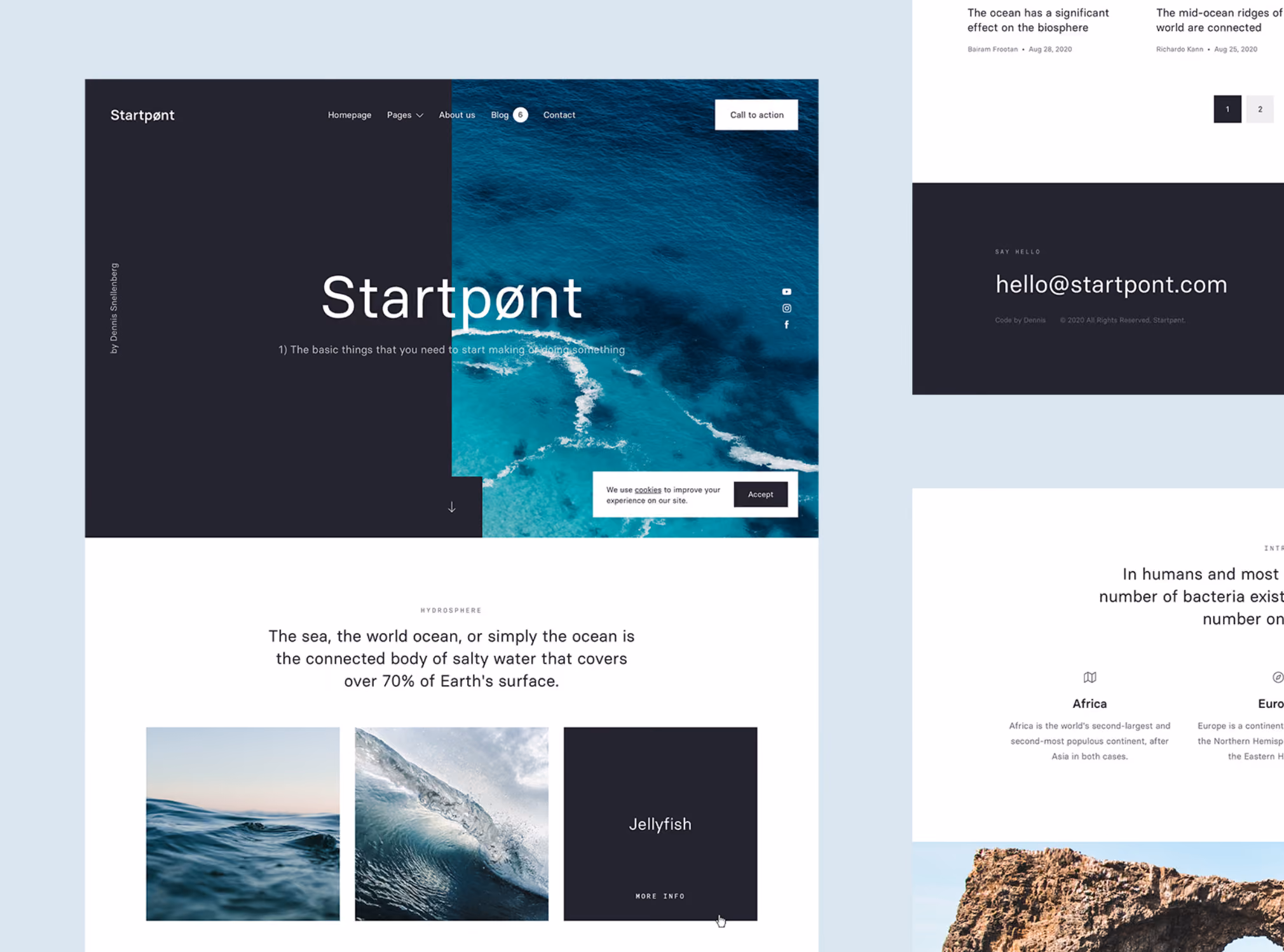 Website homepage split between dark panel and aerial ocean photo with text about the ocean and jellyfish.