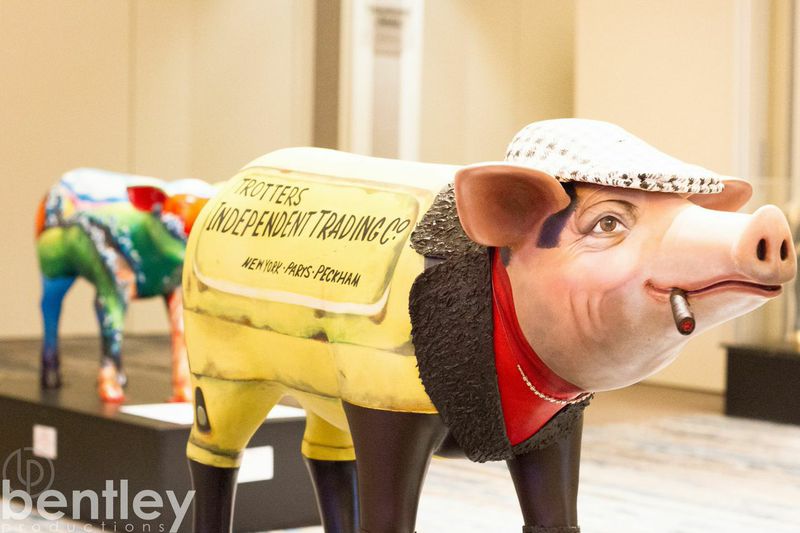 Bentley Boys Band performed at the 2015 Jack and Jill pigs on parade
