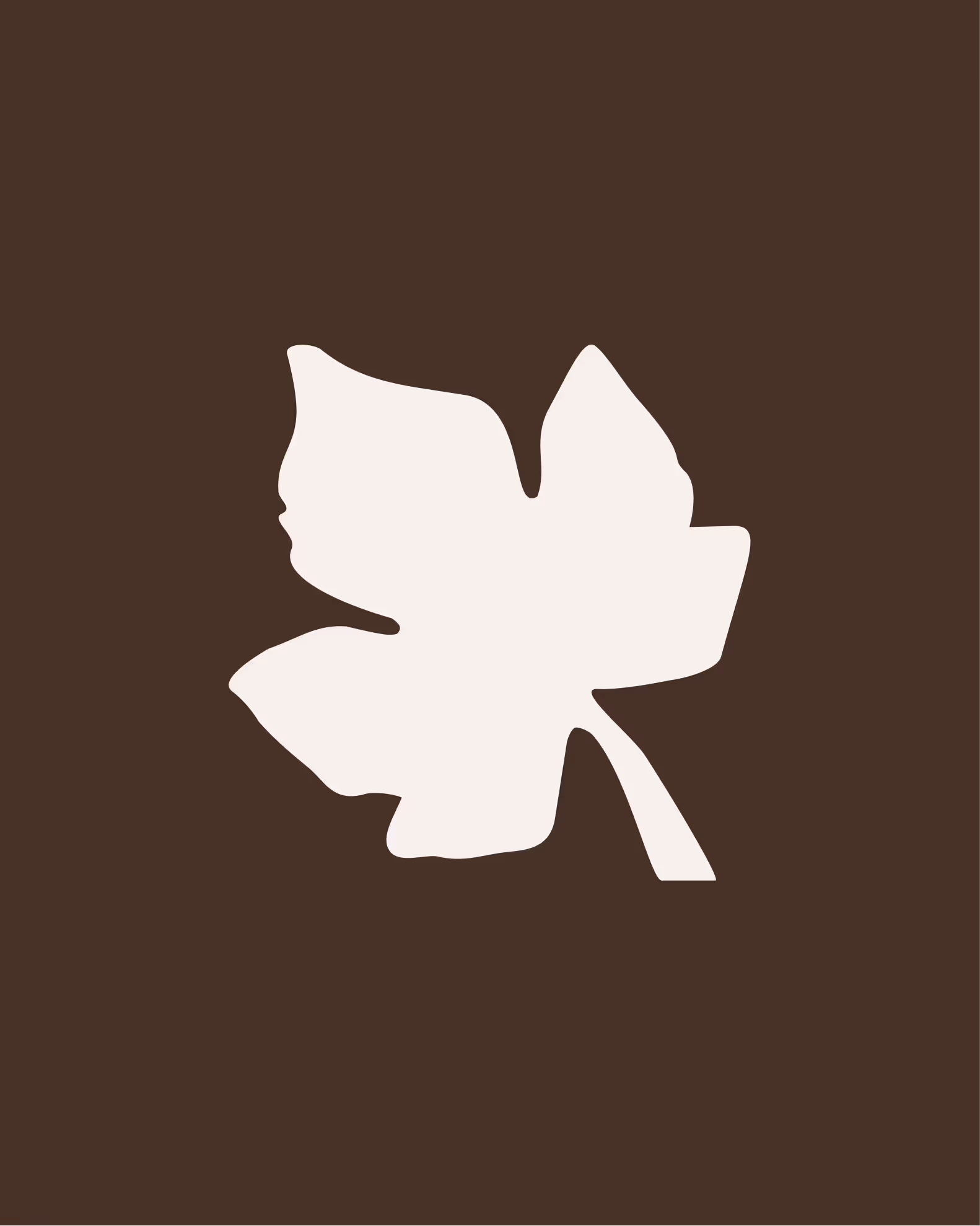 Signature visuelle de Maison Barré : une feuille de vigne organique et minimaliste