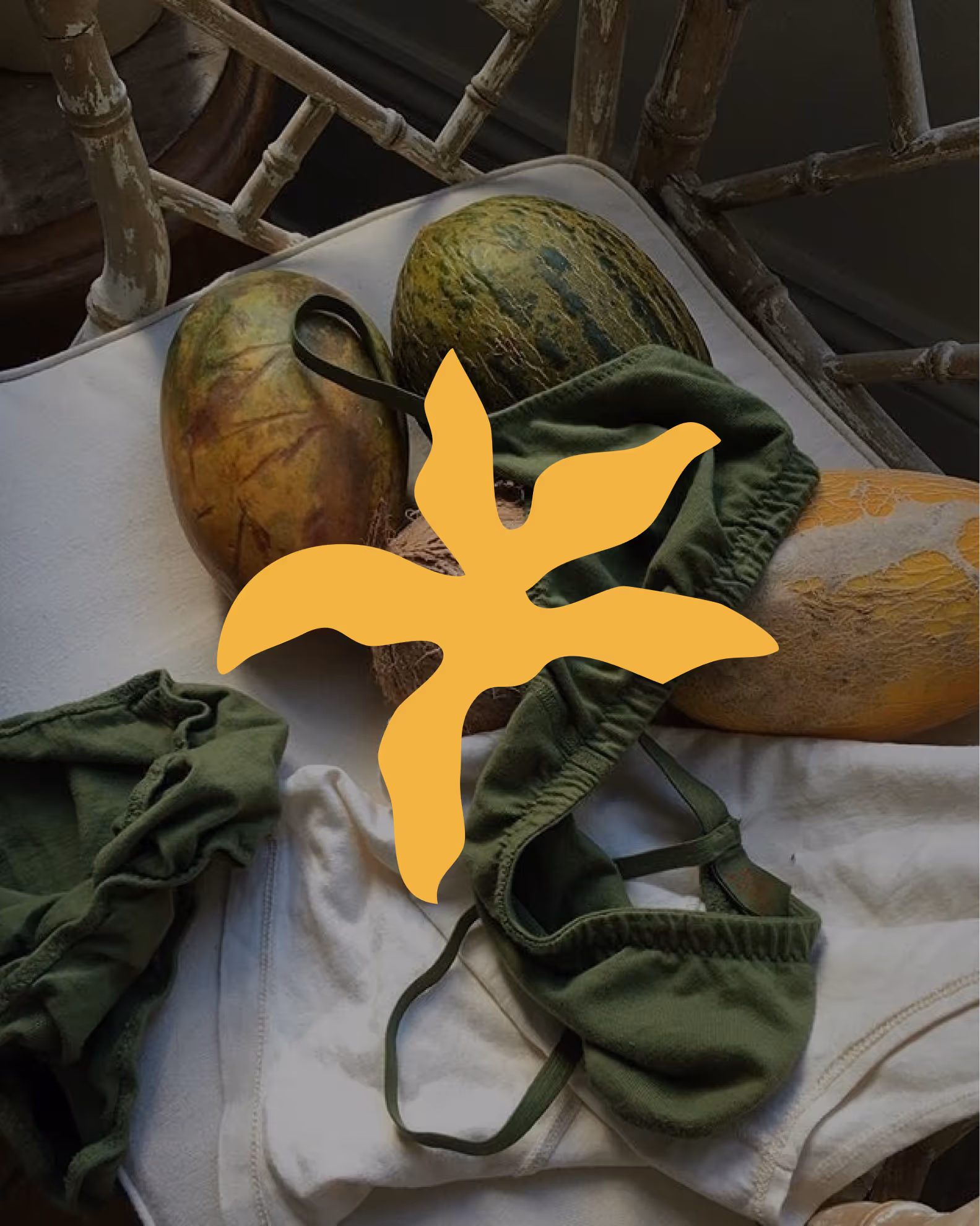 Logo secondaaire La Smole (fleur)