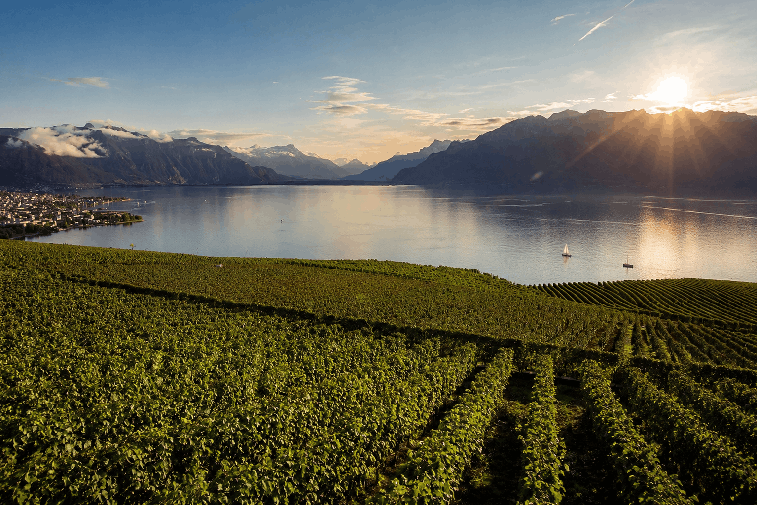 Vue sur le lac Léman depuis les vignobles en terrasse du Lavaux, ciel clair de printemps, eau bleue, reflets de lumière. Ambiance lumineuse et sereine, cadre naturel majestueux. Pas de personnes, focus sur le paysage vaudois emblématique.