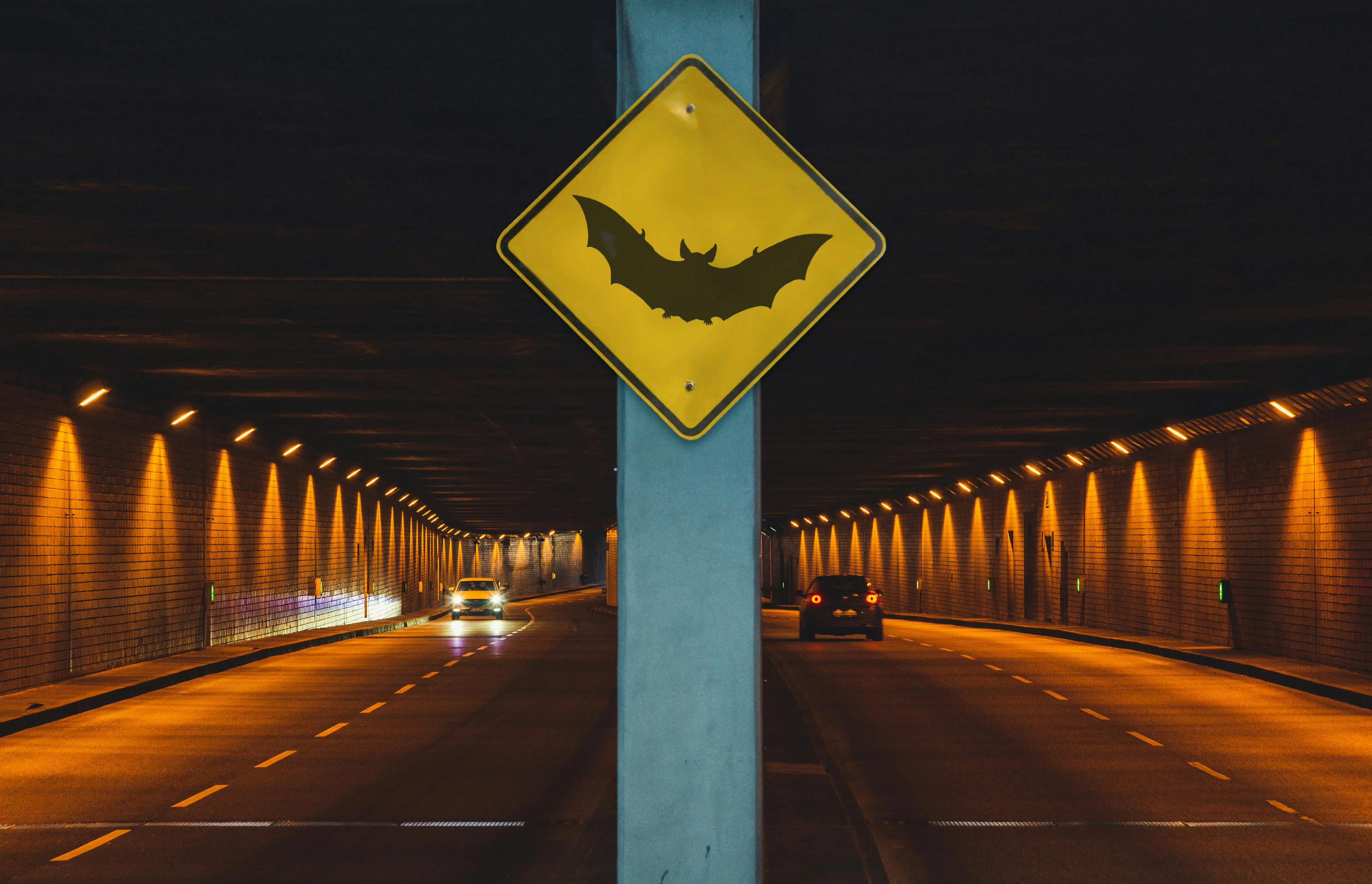 A picture of a bat sign before a car tunnel