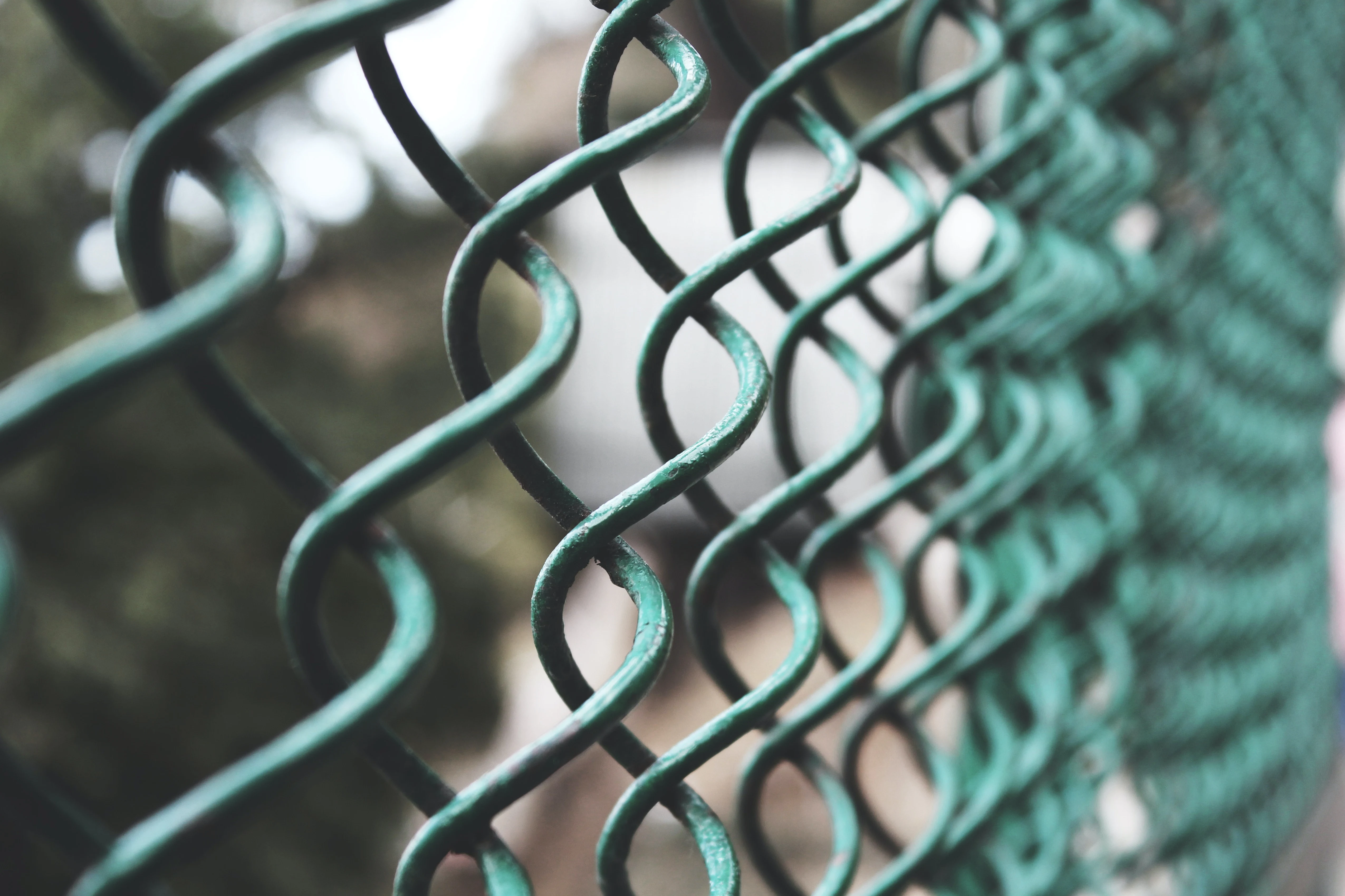 A green chain link fence