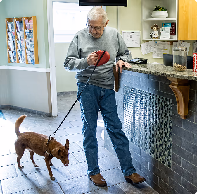 a man with a dog on a leash